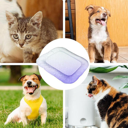 ⏳ NUR HEUTE: SALE FÜR NUR 9,99 £!! ❄️ Pawchill™ 🇬🇧 Kühlmatte für Hunde & Katzen 🐾  Natürlich kühlende Eisseidenmatte • Atmungsaktiv, waschbar & weich 🌿  Für Böden, Sofas & Autofahrten • Verschiedene Größen • Farbverlauf ☀️🐶🐱
