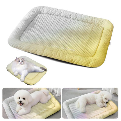 ⏳ NUR HEUTE: SALE FÜR NUR 9,99 £!! ❄️ Pawchill™ 🇬🇧 Kühlmatte für Hunde & Katzen 🐾  Natürlich kühlende Eisseidenmatte • Atmungsaktiv, waschbar & weich 🌿  Für Böden, Sofas & Autofahrten • Verschiedene Größen • Farbverlauf ☀️🐶🐱