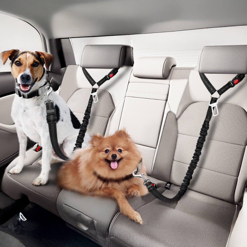 Hunde-Autosicherheitsgurt für Fahrzeugkopfstütze