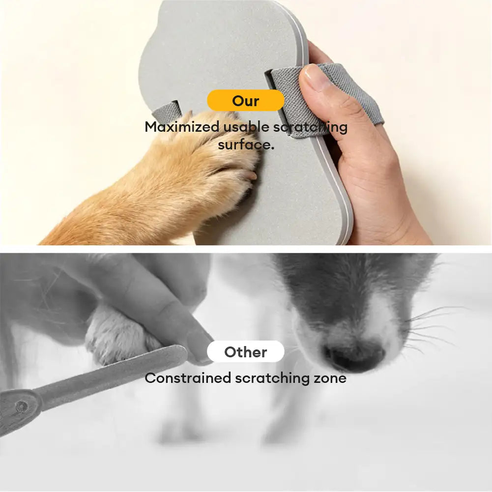Portable Dog Nail Scratch Board