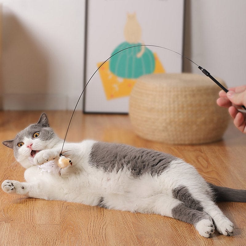 🐱2 KAUFEN, VERSANDKOSTENFREI❤️Interaktives Vogel-Simulations-Katzenspielzeug-Set