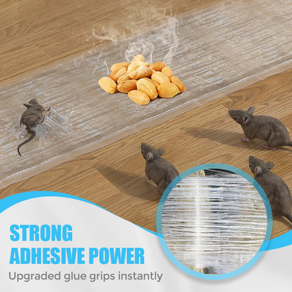 🌟Buy More Save More🌟1.2M Large Transparent Mouse Trap